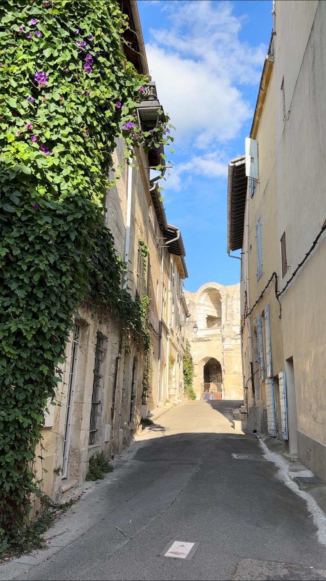 La Maison Des Hautures Arles Exterior foto